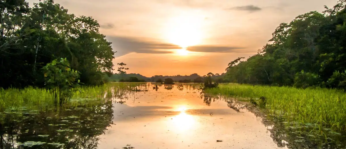 River in the Amazon Rainforest at dusk, Peru, South America