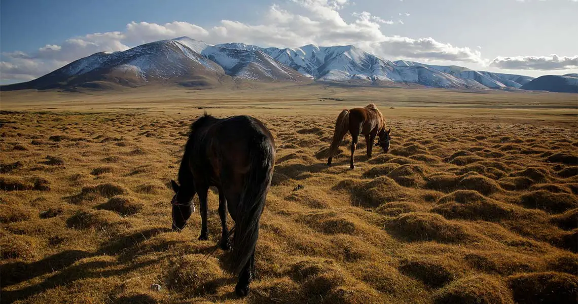 Altai, Mongolia CC-BY