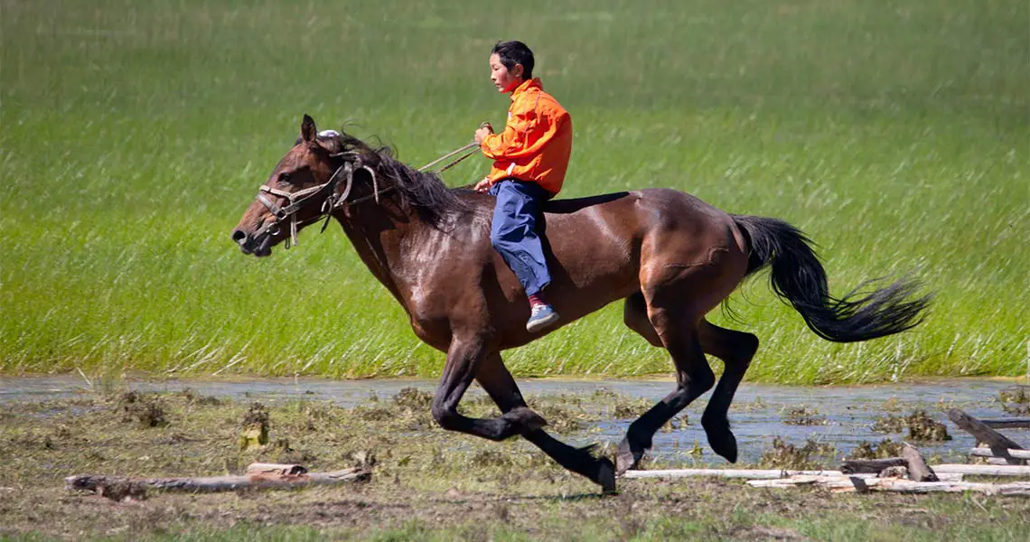 Horseback in Mongolia