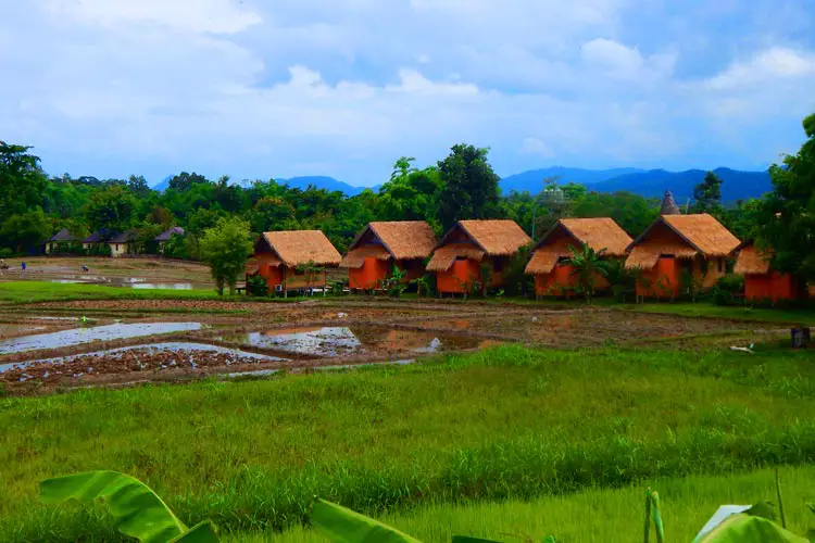 Hotels made by the Farmers in Northern Thailand