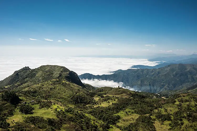 Cajas National Park, Andean Highlands, Ecuador