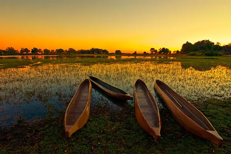 Web-Sunrise-over-the-Okavango-Delta,-Botswana