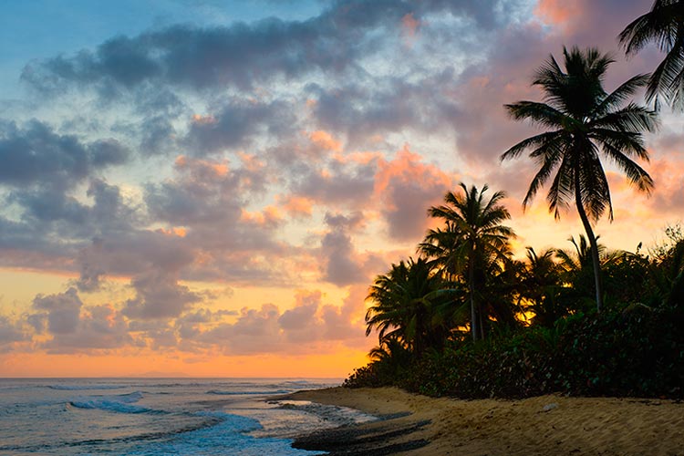 Tropical Sunrise, Vieques
