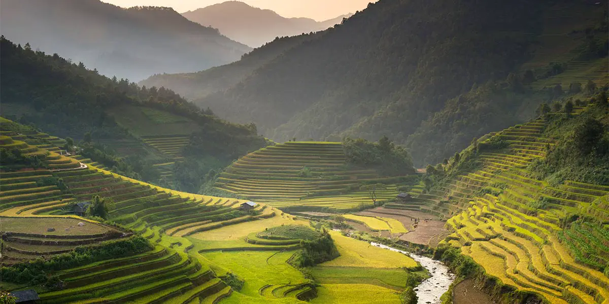 Farm in Vietnam