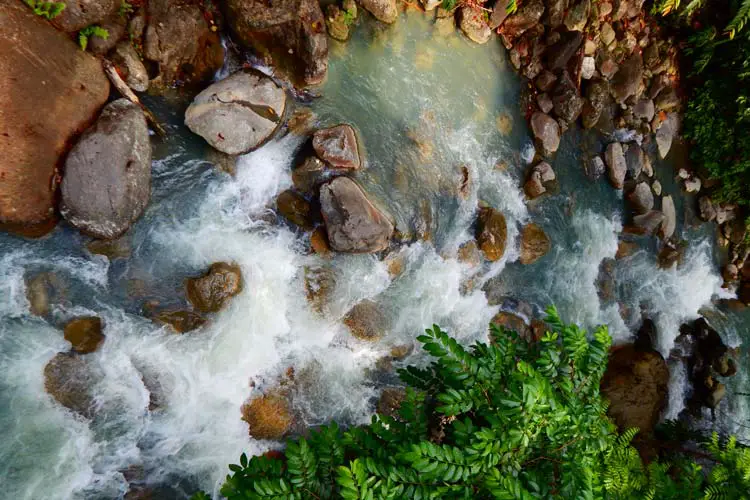 Beautiful Stream in Malaysia