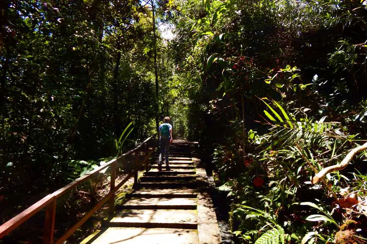 National Park in Sarawak, Malaysia