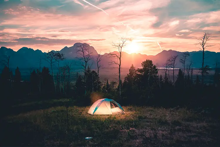 Beautiful Camping Environment