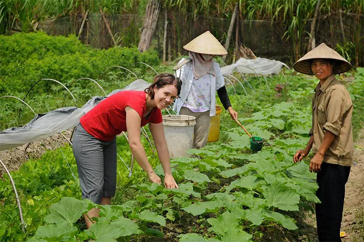 Thanh Xuan Organic project in Vietnam