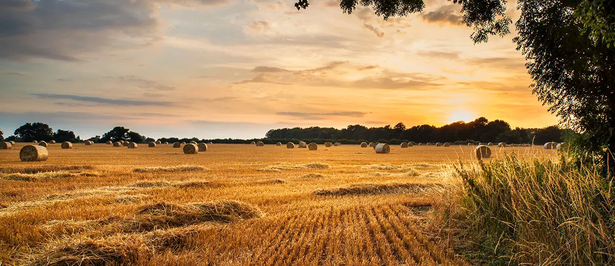 Farm sunset in rural England