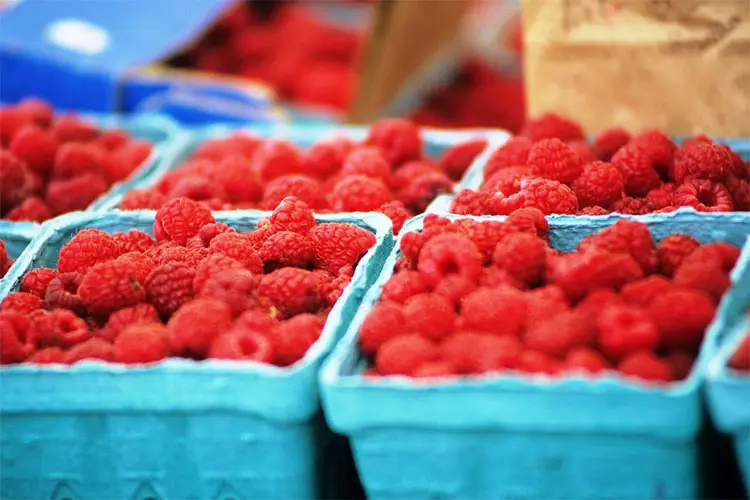 Farmer's Market in Madison, Wisconsin