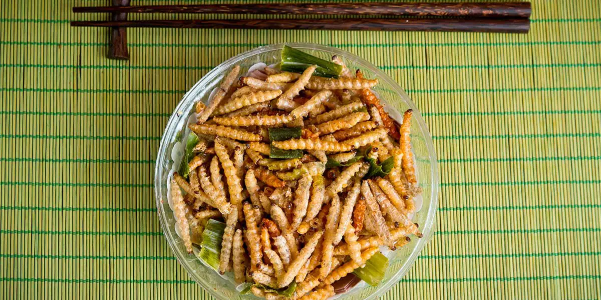 Fried bamboo larvae, a national snack in Thailand