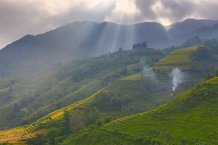 Ray over terrace rice field in Sapa