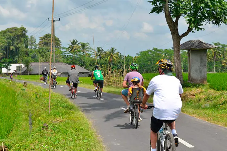 Bali Cycle Tour