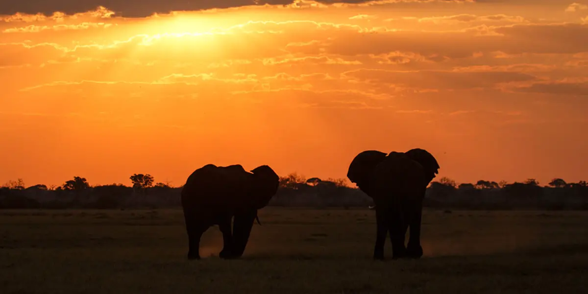 Chobe National Park, Botswana