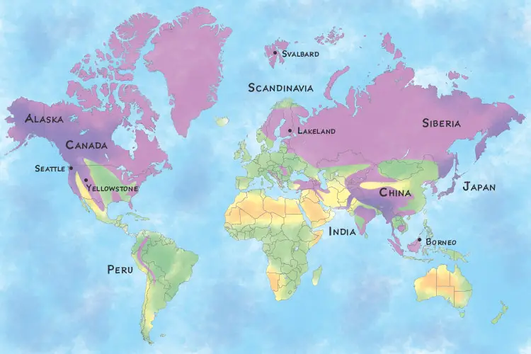 Rough map showing density of bear species & subspecies