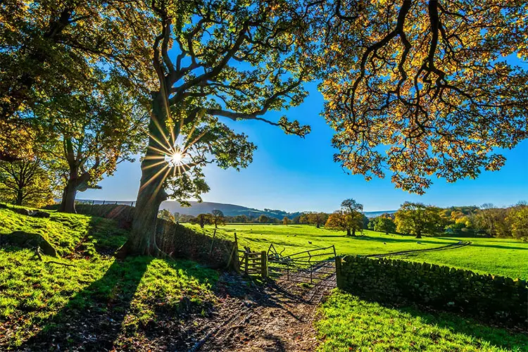 A beautiful farm in Yorkshire, England