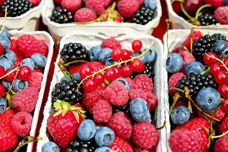 Delicious harvest of fresh fruit