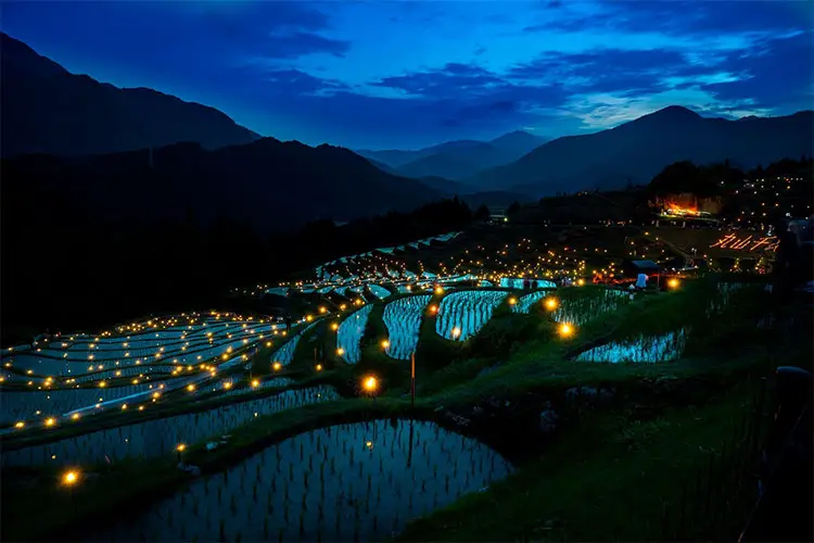 Rice terrace at night in Japan