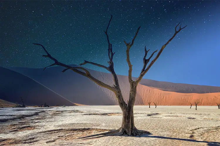 Deadvlei in the Namib desert, Namibia