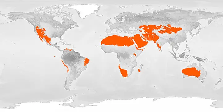 Location of the Desert Biome NASA