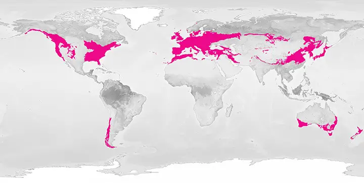 Location of the Temperate Forest Biome NASA