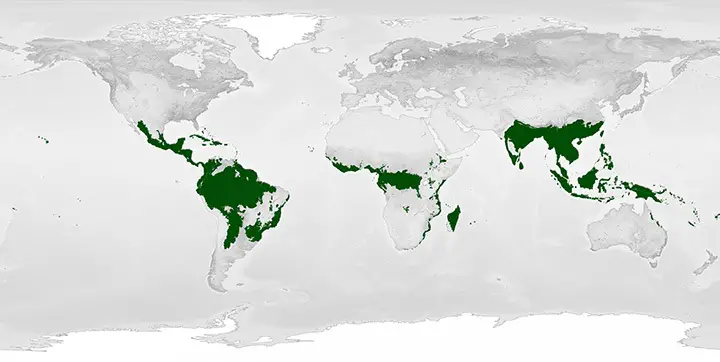 Location of the Tropical Forest Biome NASA