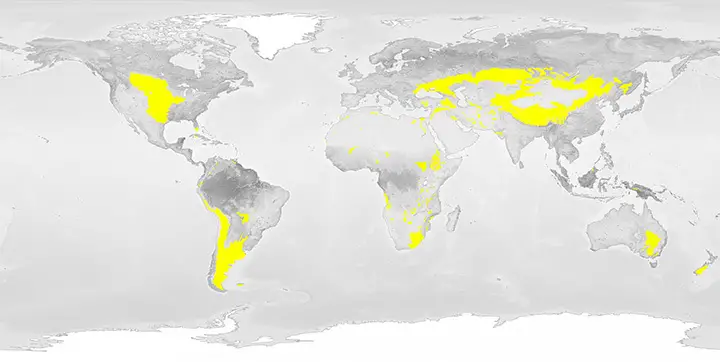 Location of the Temperate Forest Biome NASA