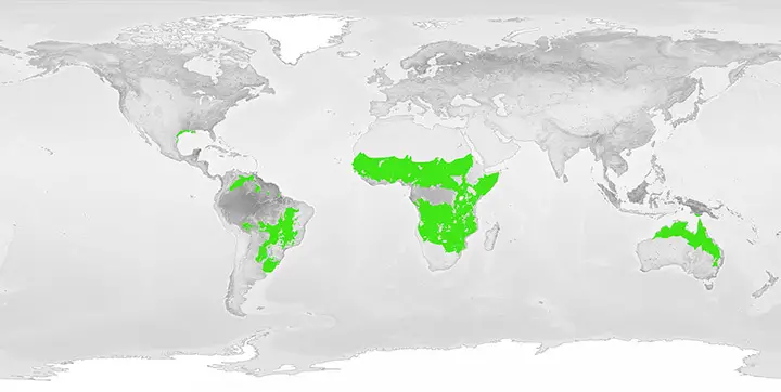 Location of the Tropical Grassland Biome NASA