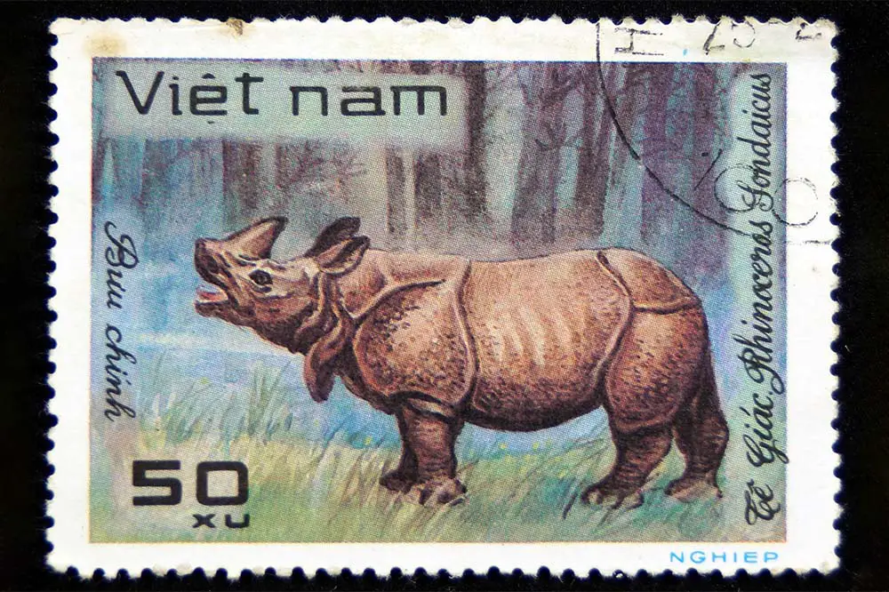 Javan Rhino on a postage stamp printed in the USSR