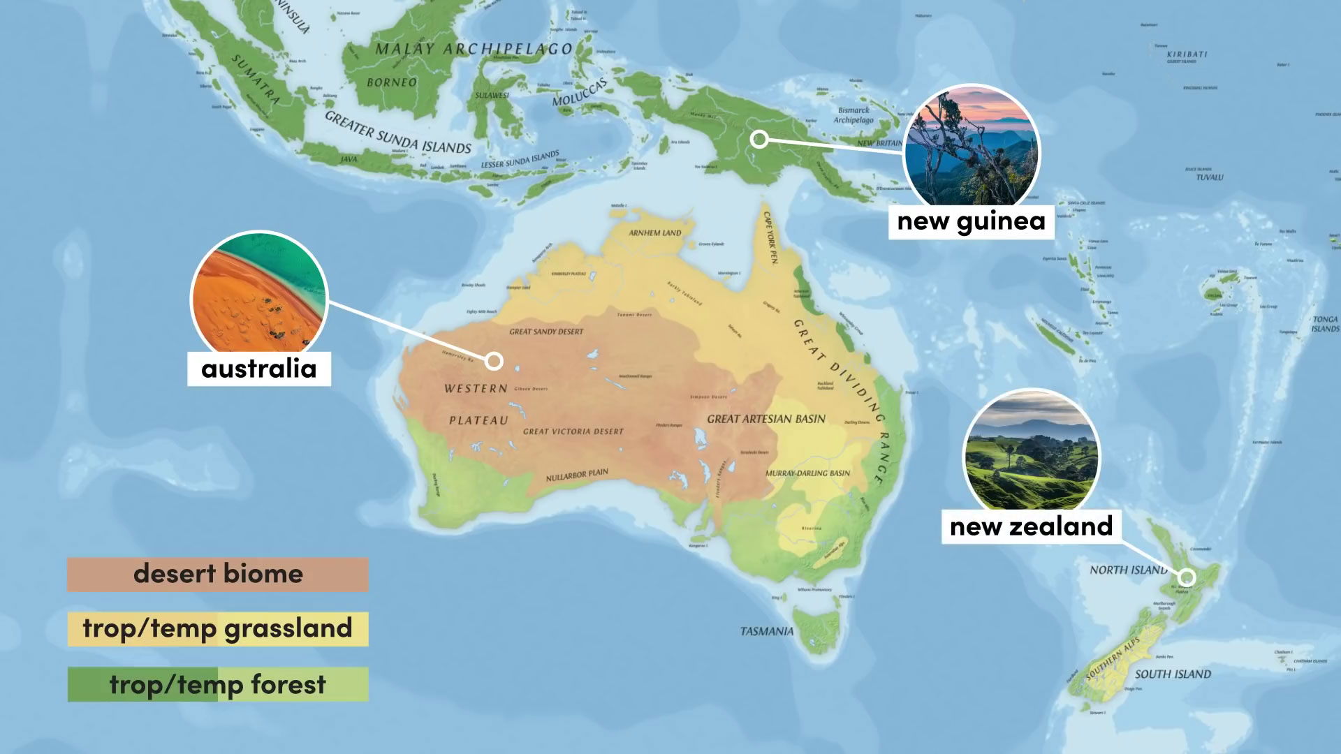 Australasian Biomes and Countries