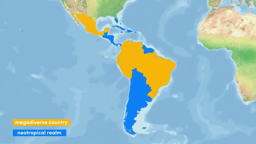 Megadiverse Countries that lie in the Neotropical Realm