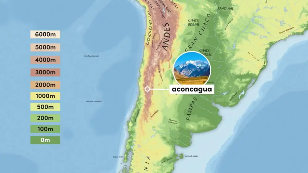 The topography of the Neotropical
