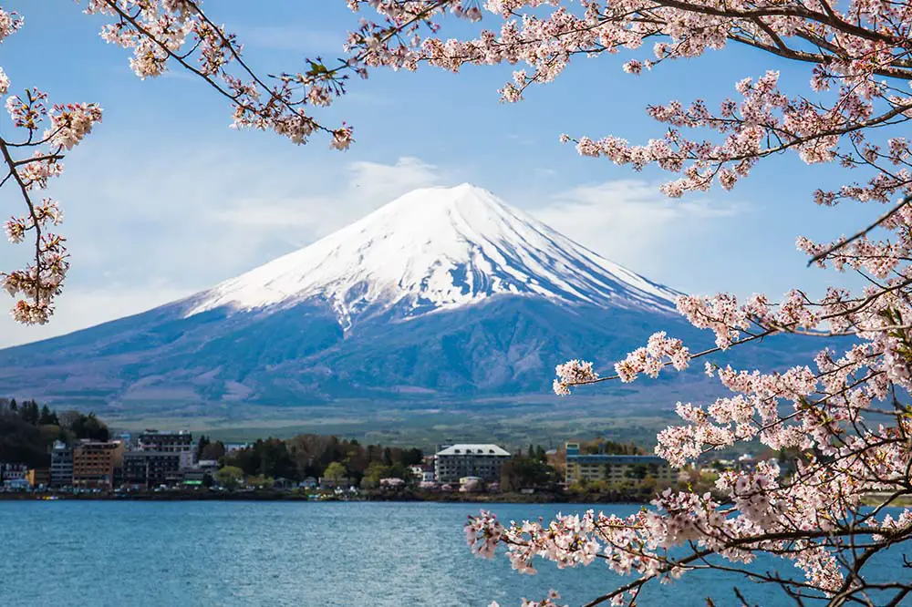 Mount Fuji with cherry blossom at Lake Kawaguchiko in Japan