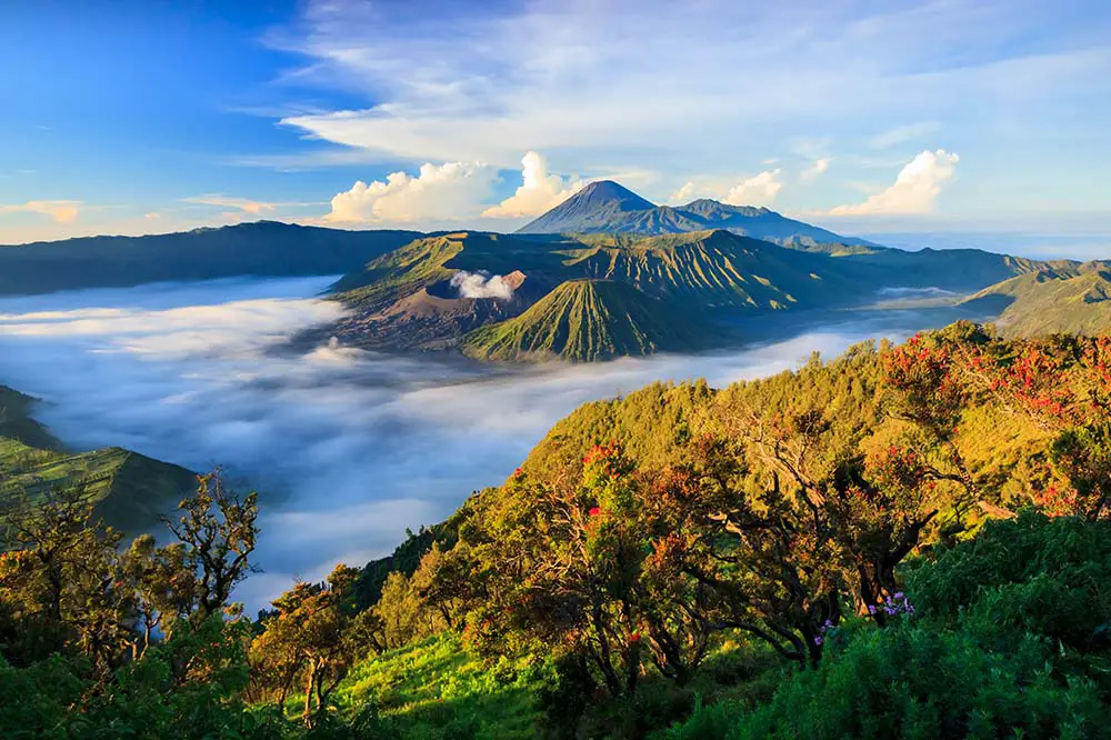 Tengger Semeru National Park at sunrise, East Java, Indonesia