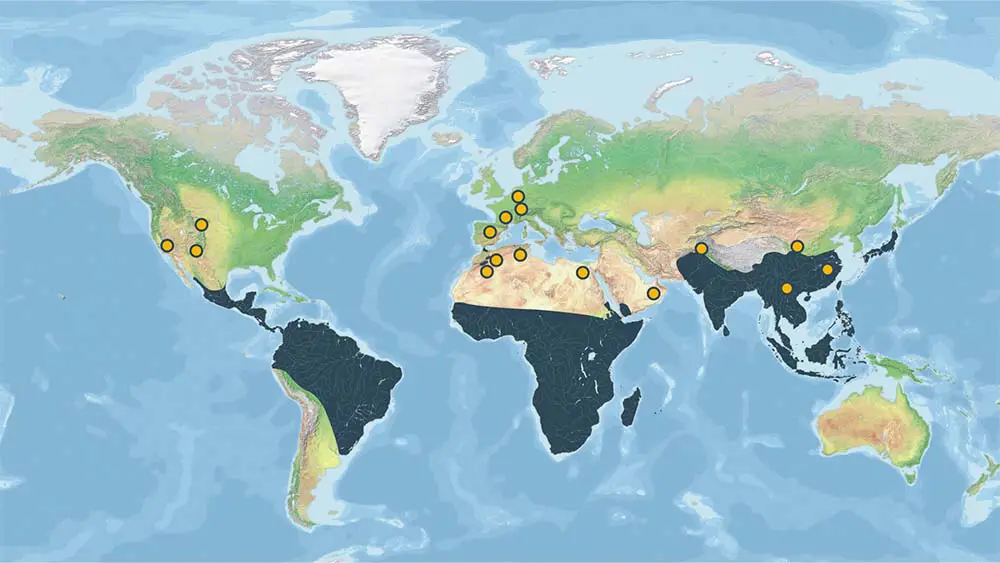 Range of Primates and Eocene Fossil Sites