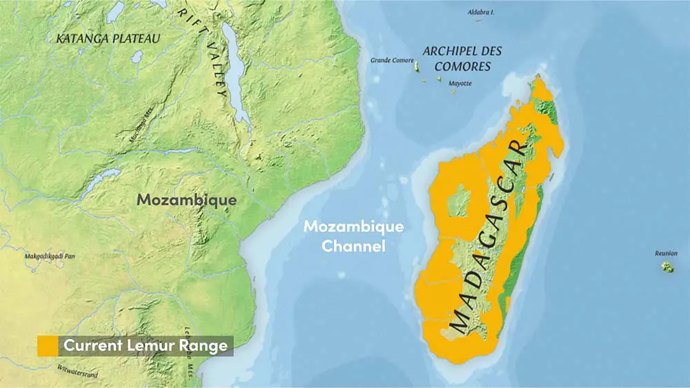 Current Range of Lemur Species