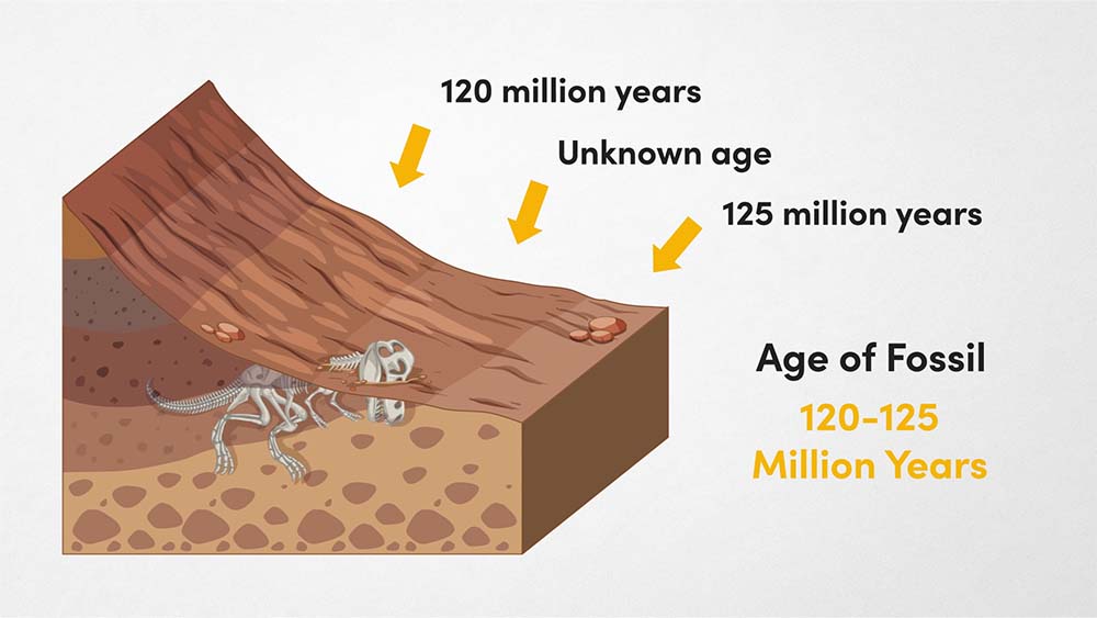 Radiometric Dating of Fossil Layers