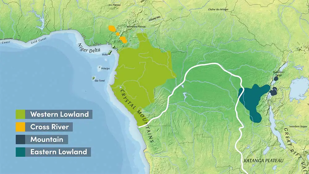 Range of the 4 gorilla subspecies