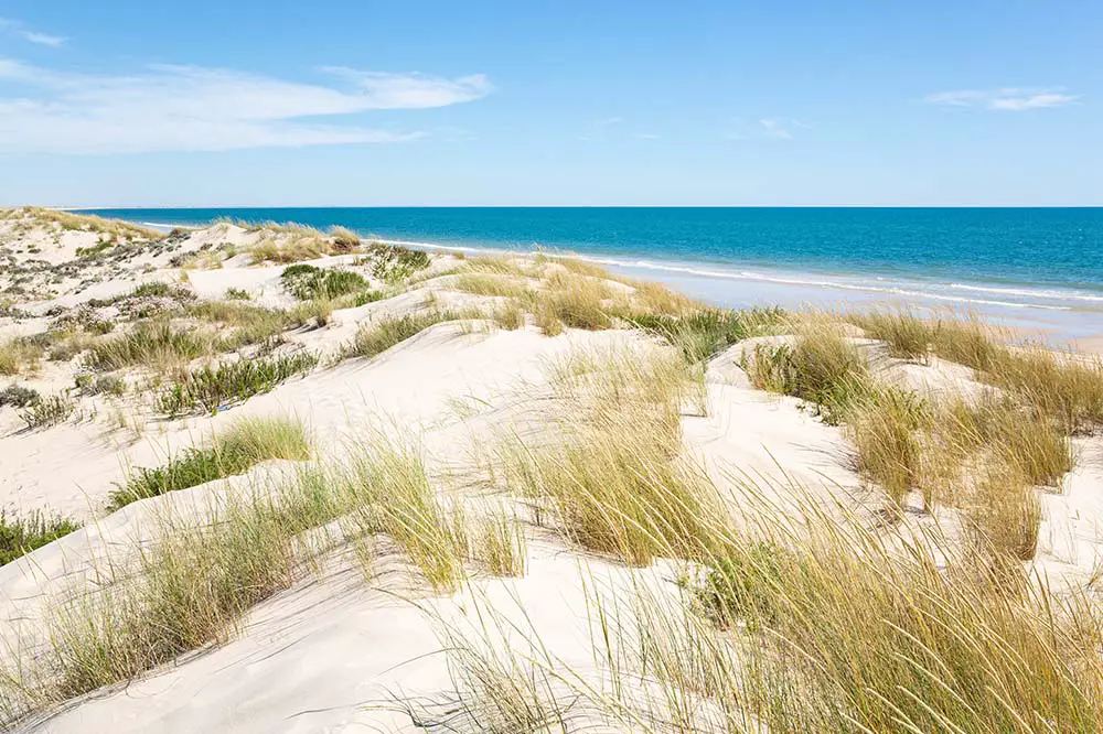 Sand Dunes at Doñana