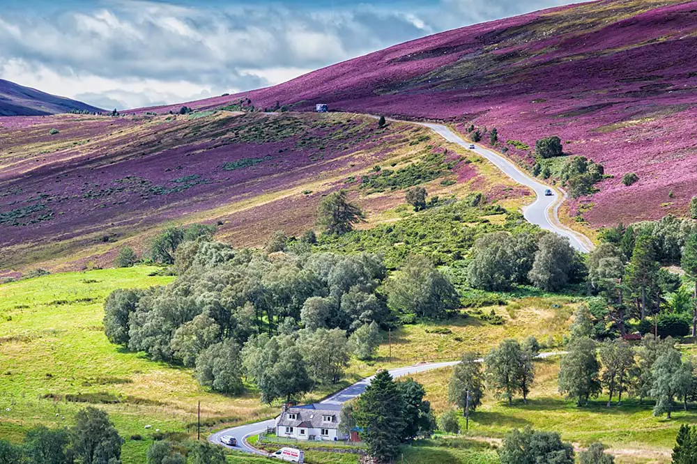 Scottish Moorlands