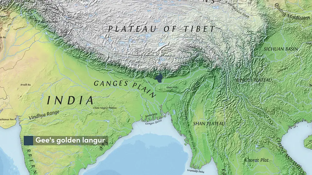 The range of Gee's Golden Langur