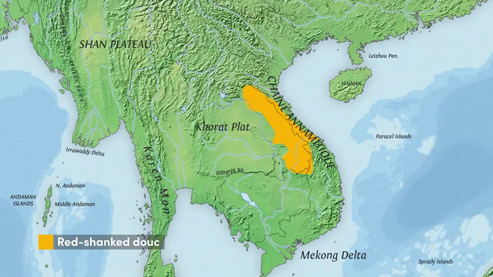 The range of the Red-shanked Douc