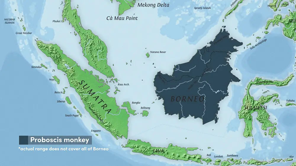 The range of the Proboscis Monkey