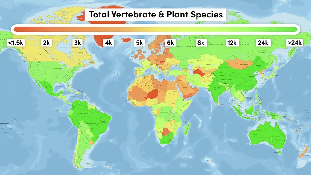 Species heat map